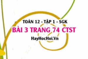 Bài 4 trang 74 Toán 12 tập 1 Chân trời sáng tạo